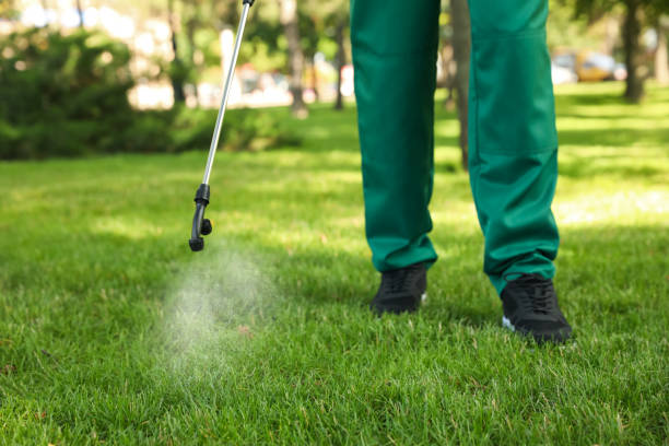 Best Rat Extermination Near Me  in Wakarusa, IN