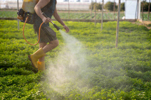 Best Pest Removal Services  in Wakarusa, IN