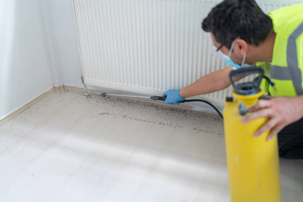 Best Emergency Pest Control  in Wakarusa, IN