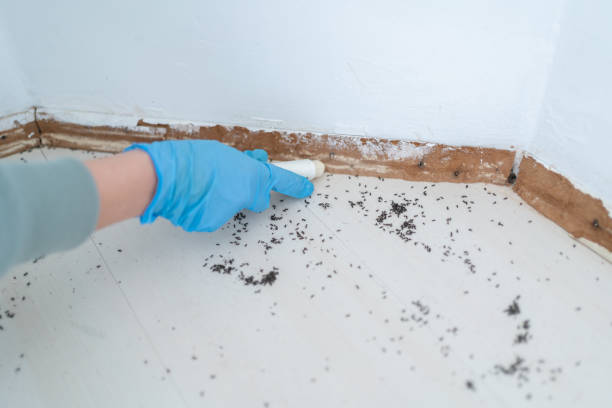 Best Ant Control Services  in Wakarusa, IN