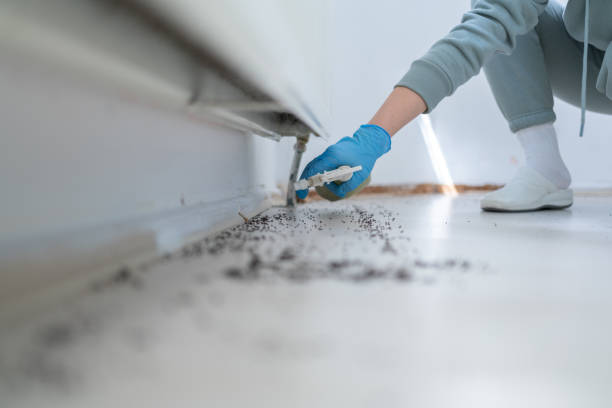 Best Wasp Removal Services  in Wakarusa, IN